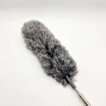 Метелка для смахивания перьев