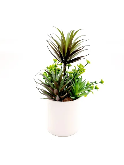 Plant