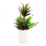Растение