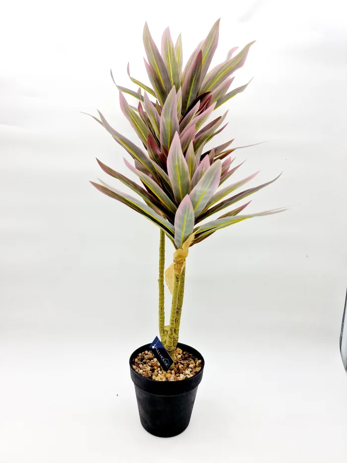 Plant 170083 60x13cm 26,50lv (1) Растение - Image 1