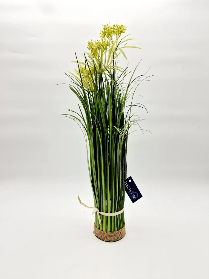 Plant 170085 50x10cm 23,50lv (2) Растение - Image 1