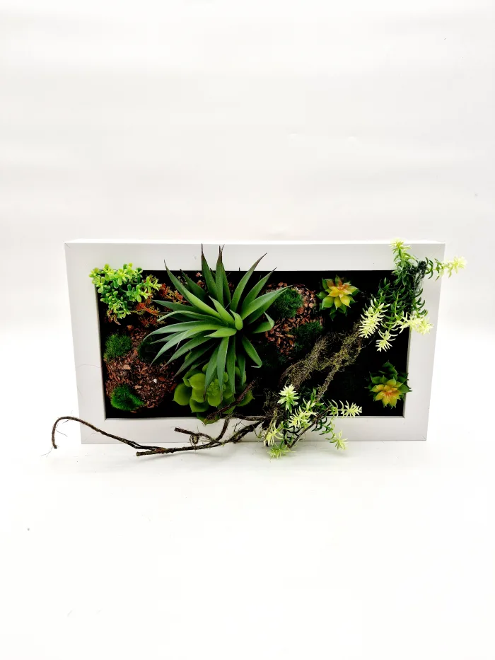 Plant 170088 35x20cm 46,50lv (3) Растение — изображение 1