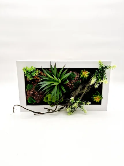 Plant