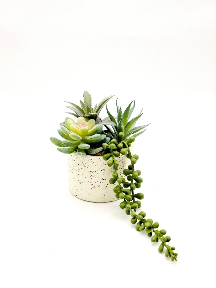 Plant 170094 17x10cm 13,50lv (1) Растение - Image 1