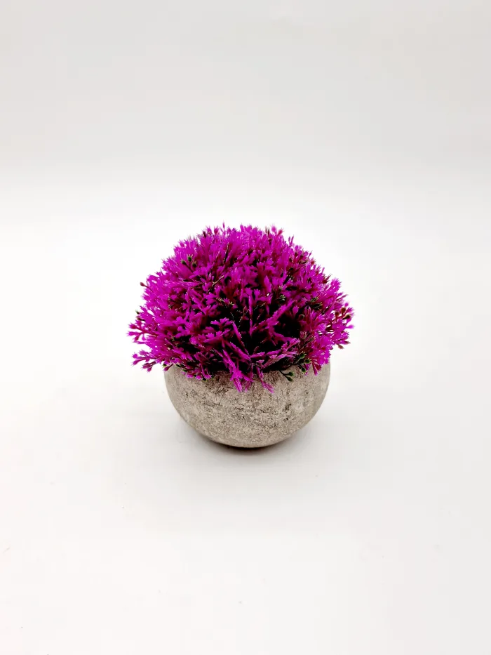 Plant 170096 13x10cm 6,50lv (2) Растение - Image 1