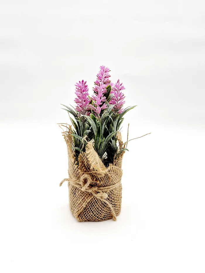 Plant 170104 22x8cm 7,50lv (1) Растение - Image 1