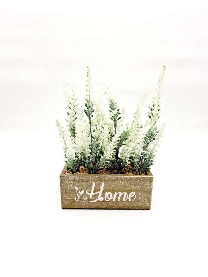 Plant 170106 23x16cm 18,50lv (3) Plant - Image 1