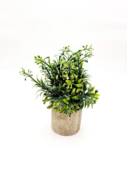 Plant