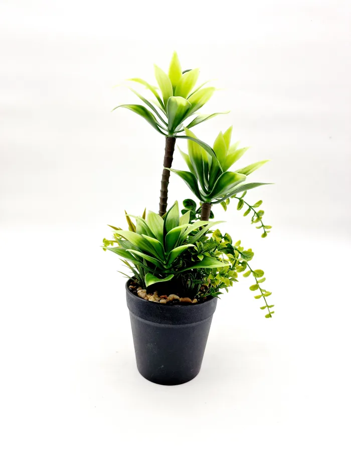 Plant 170108 30x14cm 9,50lv (3) Plant - Image 1