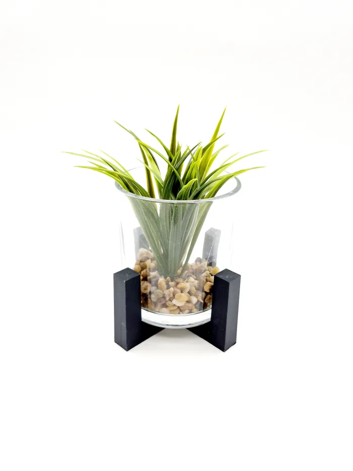 Plant 170109 17x10cm 9,50lv (3) Растение - Image 1