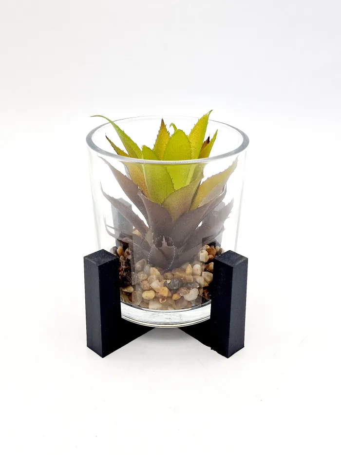 Plant 170110 10x10cm 9,50lv (1) Растение - Image 2
