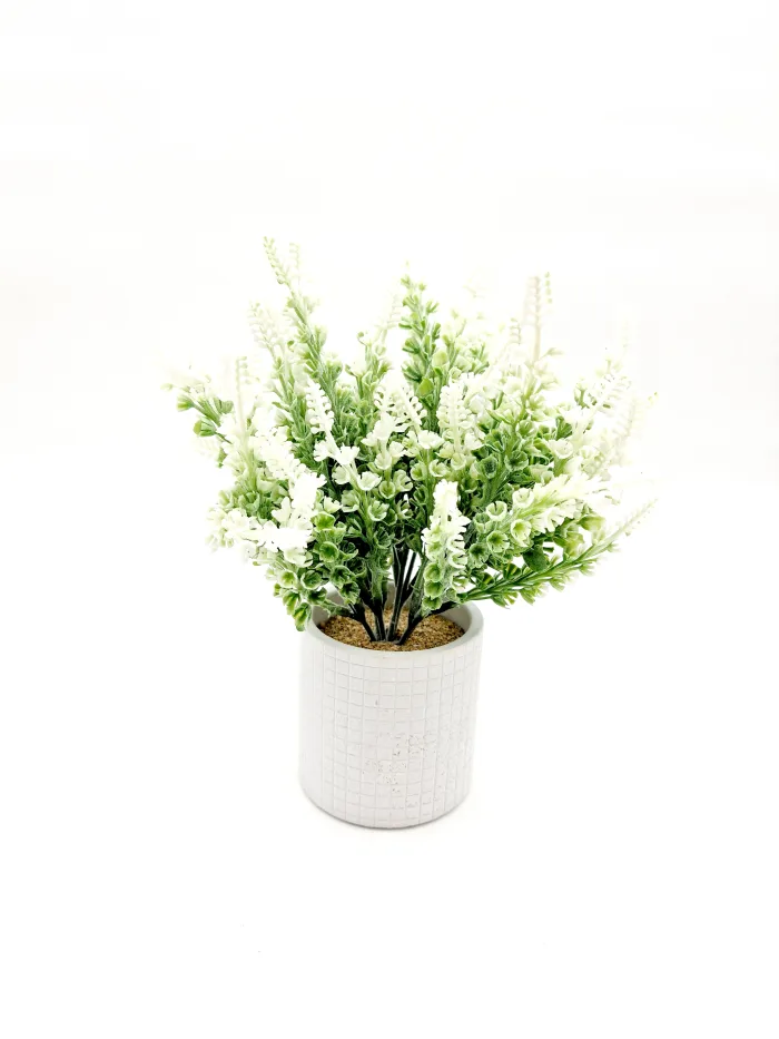 Plant 170127 233x8cm 11,80lv (3) Растение - Image 1