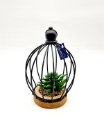 Растение — изображение 2