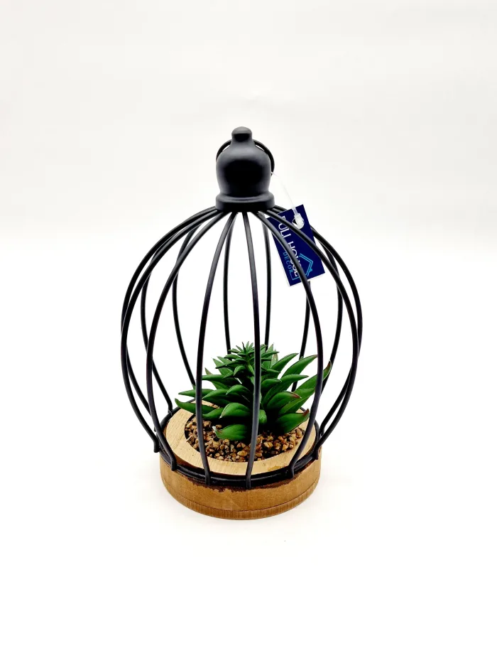 Растение — изображение 2