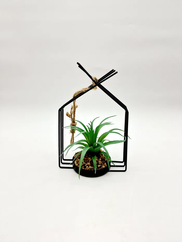 Plant 9078 21x14cm 11,50lv (2) Растение — изображение 2