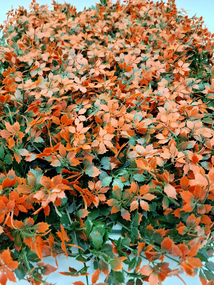 Plant for Wall 8651 60x40cm 36,50lv (1) Пано - Image 2