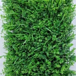 Пано