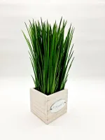 Plant - Image 2