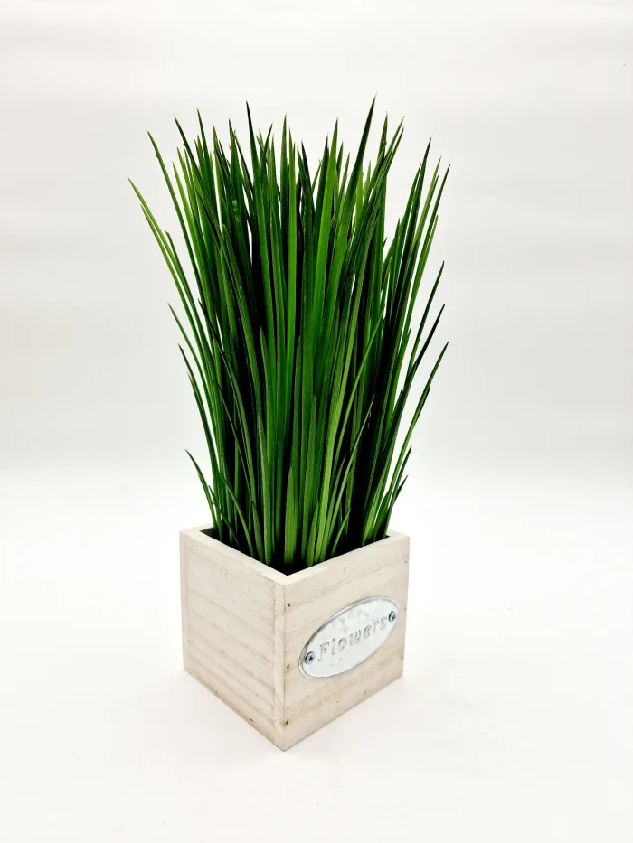 Растение — изображение 2