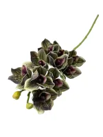 Цветок — изображение 2