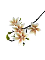 Цветок — изображение 2