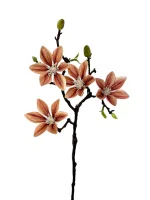 Цветок — изображение 3