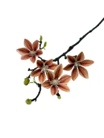 Цветок — изображение 4