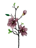 Цветок — изображение 4