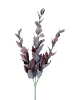 Цветок — изображение 2