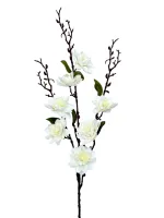 Цветок — изображение 5