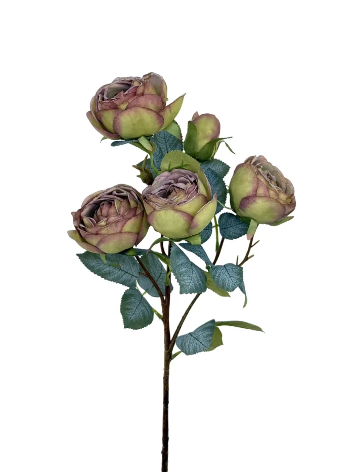 Flowers-8663-65cm-980lv-4-Photoroom Цветок — изображение 3