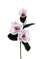 Цветок — изображение 2