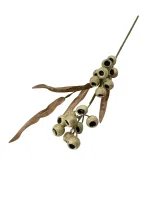 Цветок — изображение 2