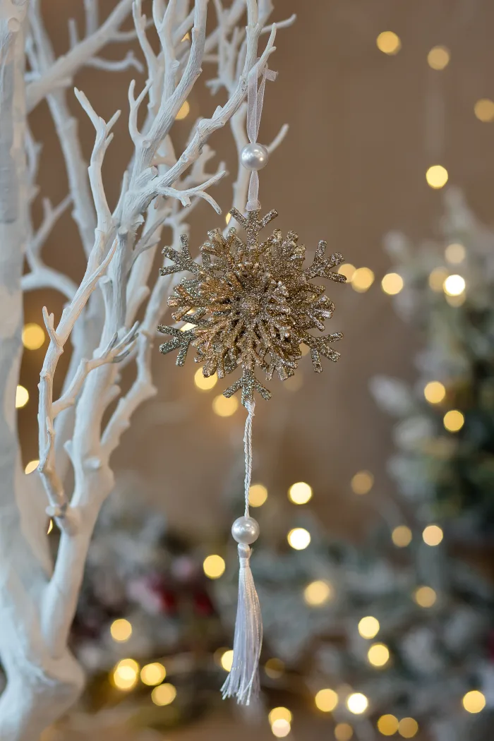 170547-10см-2.50лв Christmas toy - Image 1