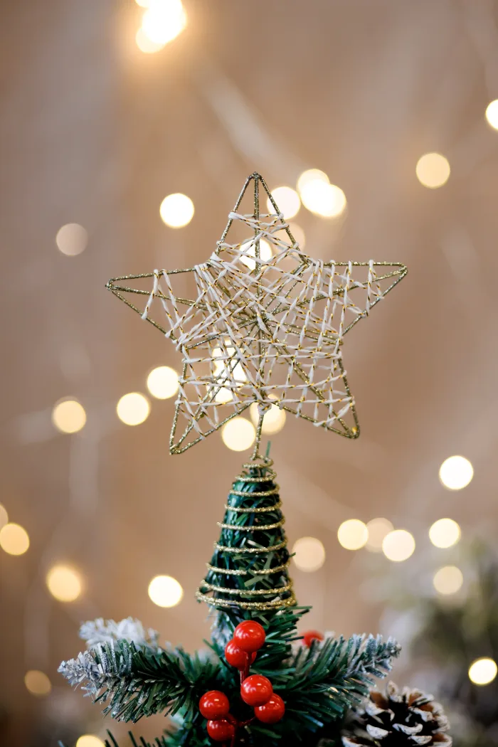 Christmas toy - Image 2