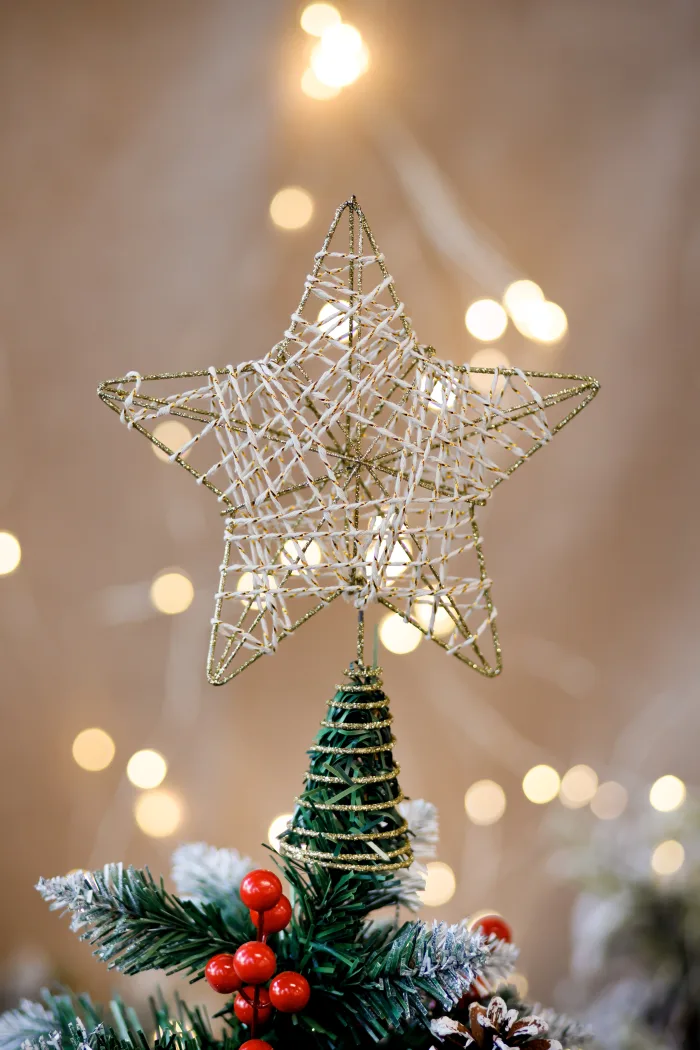 Christmas toy - Image 2