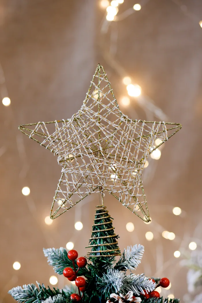 Christmas toy - Image 2