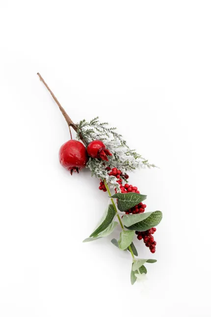 Коледно клонче