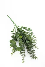 Растение - Image 2