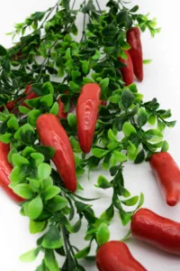 Растение — изображение 2