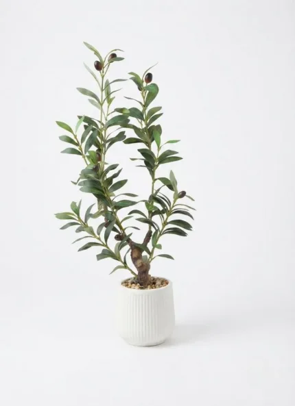 Artificial flower/olive tree