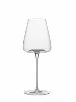 Danny Home Set of 2 wine glasses 450 ml