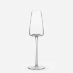 Danny Home Set of 2 Champagne Glasses 270ml