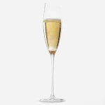 Danny Home Set of 4 Crystal Champagne Glasses 182 ml